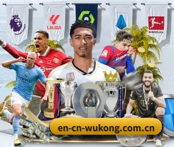 悟空体育 APP（wukongsports）
